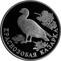 Фото памятная серебряная монета 1 рубль 1994 года из серии «Красная книга» — Краснозобая казарка, реверс