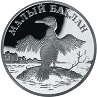 Фото памятная серебряная монета 1 рубль 2003 года из серии «Красная книга» — Малый баклан, реверс