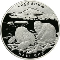 Фото юбилейная серебряная монета 100 рублей 2008 года из серии «Сохраним наш мир» — Речной бобр, реверс
