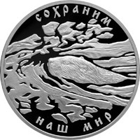 Фото юбилейная серебряная монета 3 рубля 2008 года из серии «Сохраним наш мир» — Речной бобр, реверс