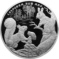 Фото памятная серебряная монета 100 рублей 2023 года из серии «Сохраним наш мир» — Белка обыкновенная, реверс