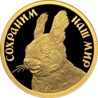 Фото памятная золотая монета 50 рублей 2023 года из серии «Сохраним наш мир» — Белка обыкновенная, реверс